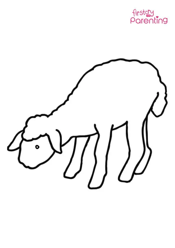 Cute Lamb Coloring Page Colouring Pages Cute Lamb Coloring Page Colouring Pages