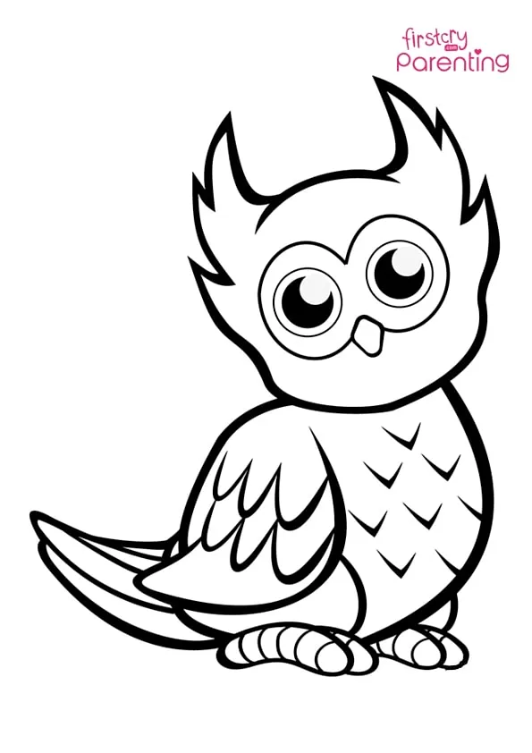 Cute Owl Coloring Page Colouring Pages Cute Owl Coloring Page Colouring Pages