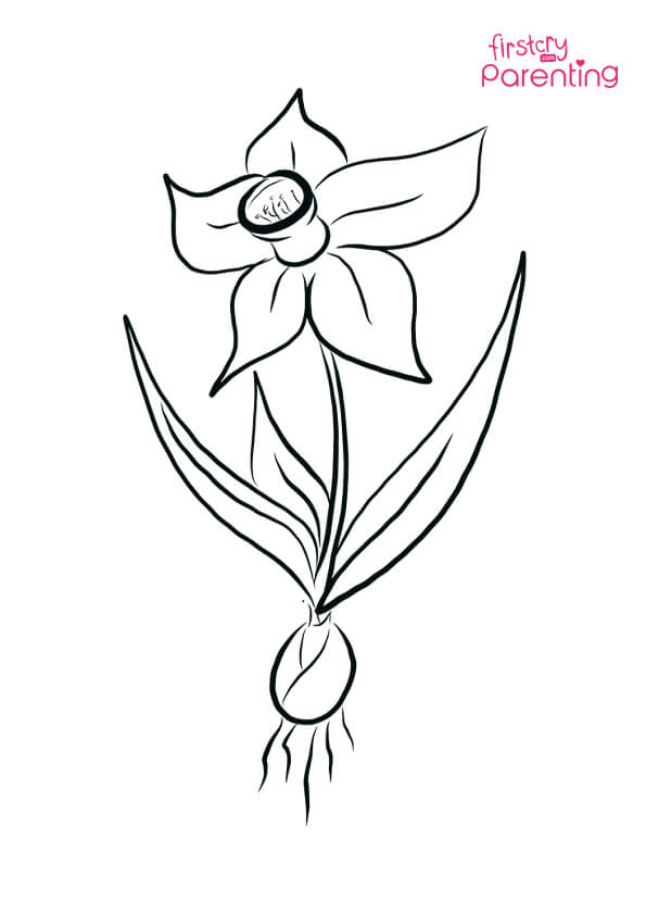 free printable coloring pages about daffodils