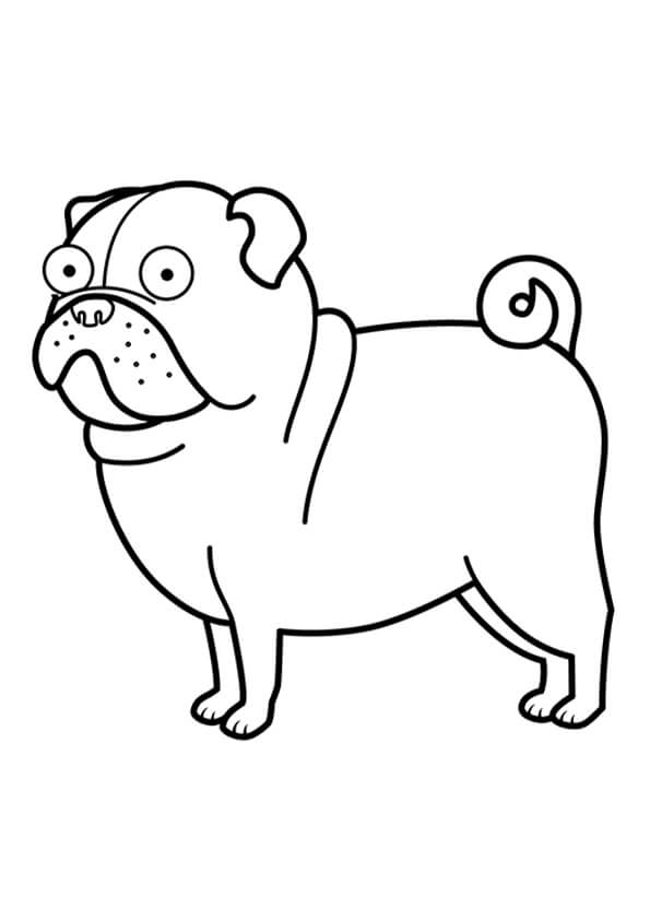 Dog Colouring Pages