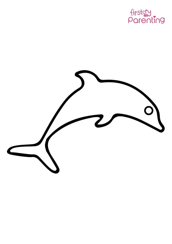 Dolphin Outline Coloring Page Colouring Pages
