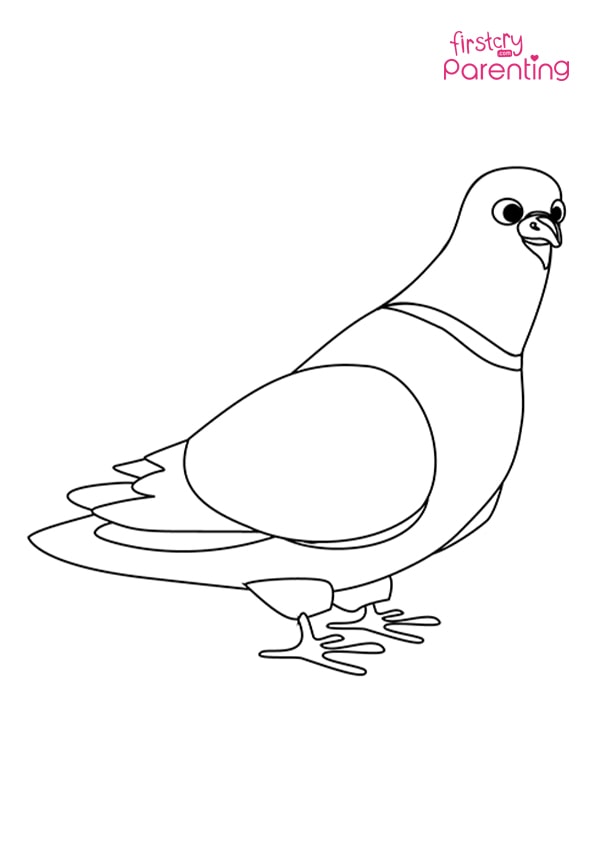 Dove Siting Coloring Page