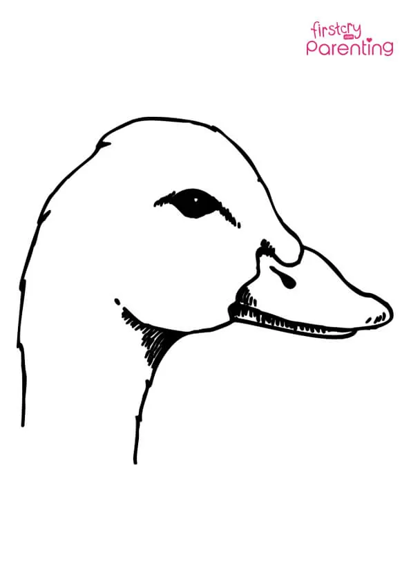 Duck Head Coloring Page Colouring Pages