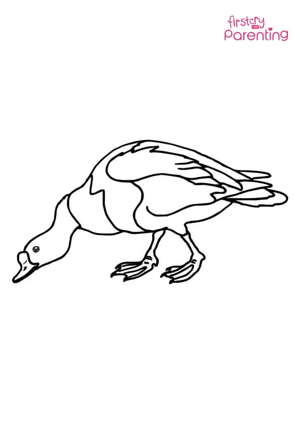 Duck Is Eating Coloring Page Colouring Pages