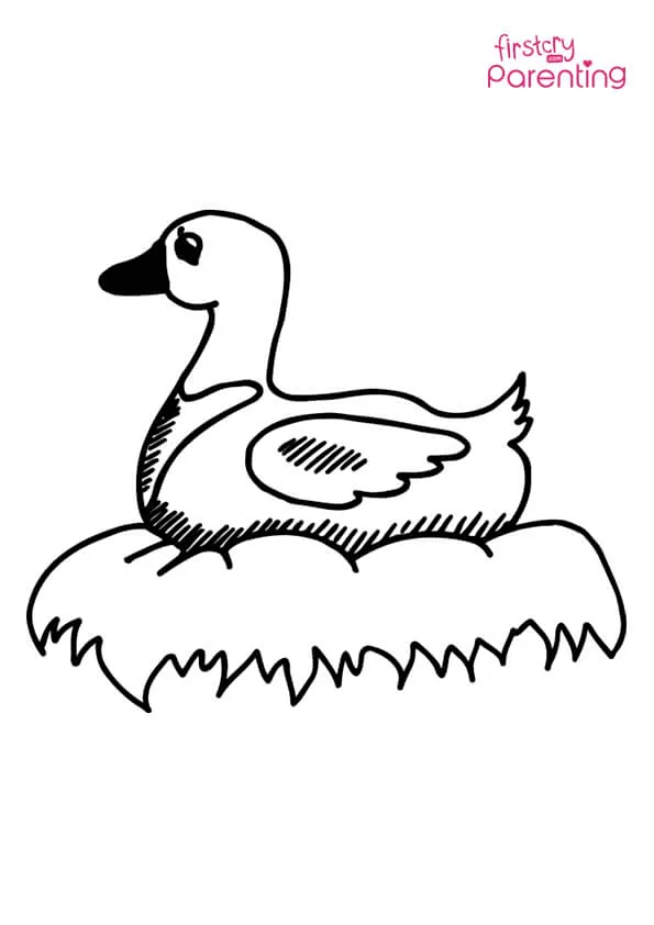 Duck On Nest Coloring Page Colouring Pages
