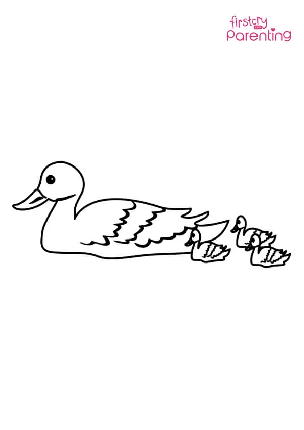 Duck With Ducklings Coloring Page Colouring Pages