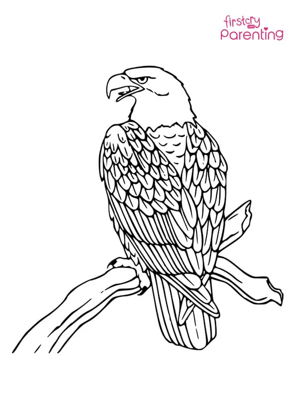 Eagle Bird on Tree Branch Coloring Page Colouring Pages Eagle Bird on Tree Branch Coloring Page Colouring Pages