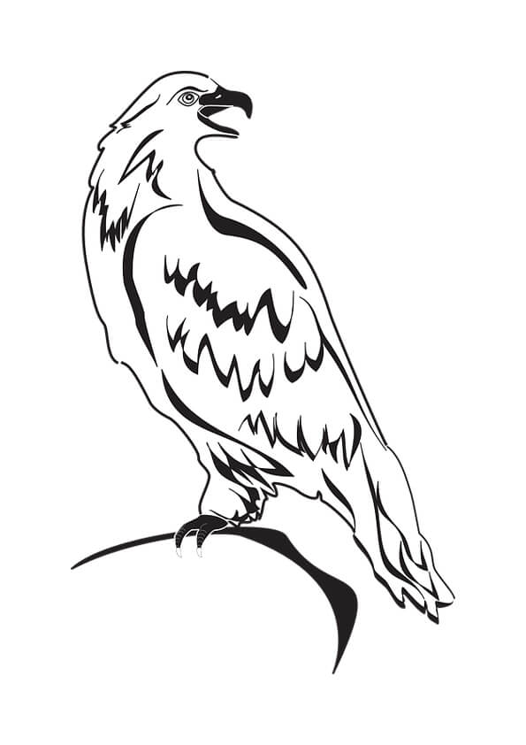 Eagle Colouring Pages