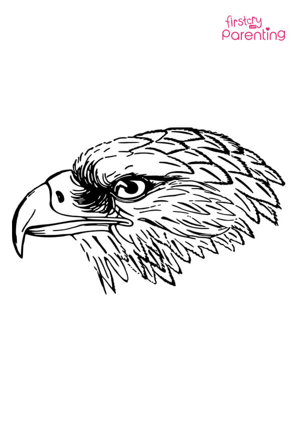 eagle head coloring pages