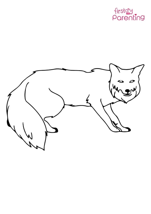 Easy Fox Coloring Page Colouring Pages Easy Fox Coloring Page Colouring Pages