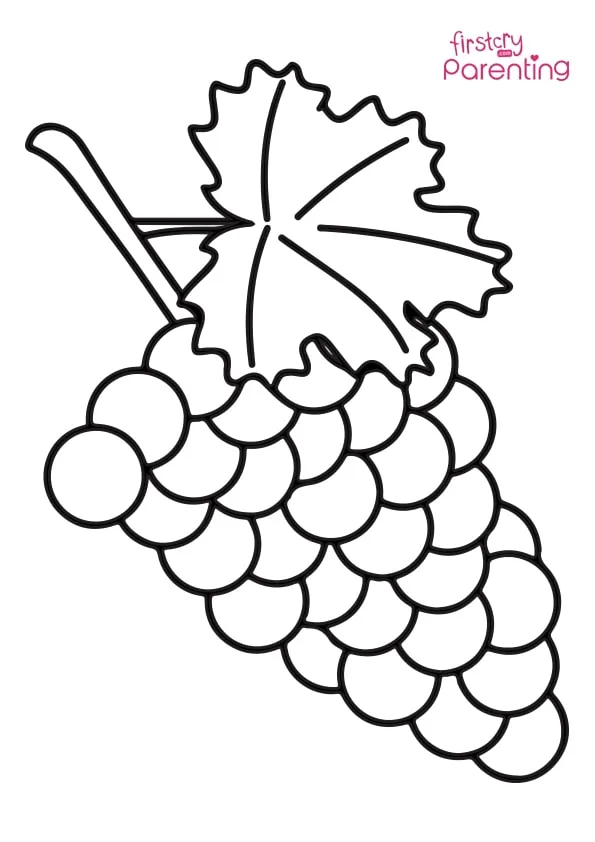 Easy Grapes Coloring Page Easy Grapes Coloring Page