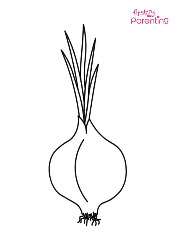Easy Onion Coloring Page