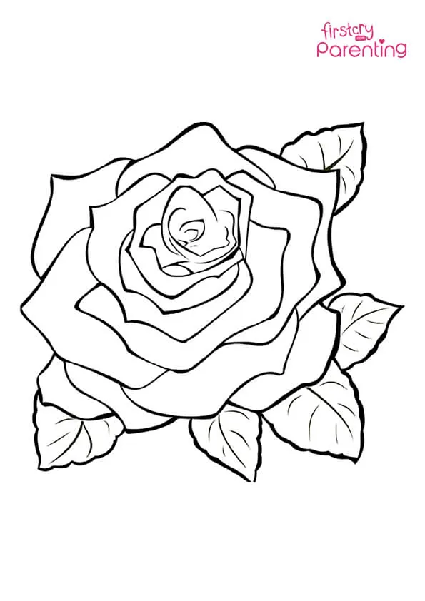 Easy Rose Coloring Page Colouring Pages