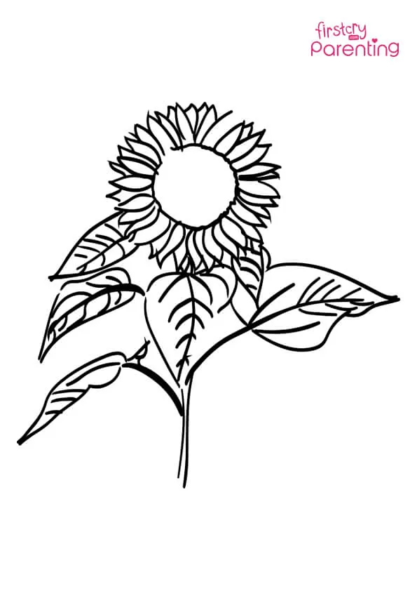 Easy Sunflower Coloring Page Colouring Pages Easy Sunflower Coloring Page Colouring Pages
