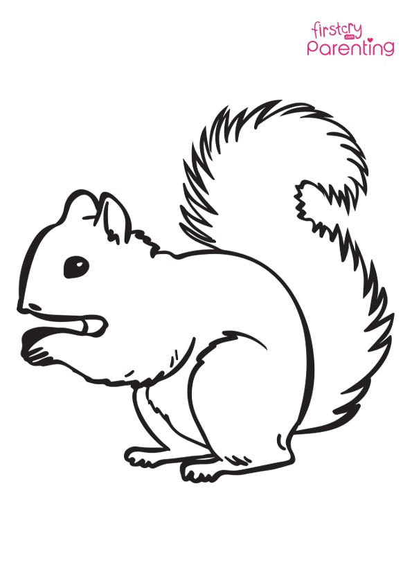 Squirrel Coloring Eekhoorn Pages Kleurplaat Kleurplaten Animals 