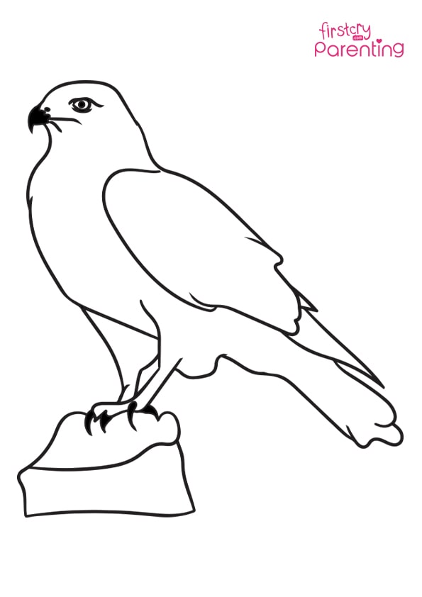 flying falcon outline