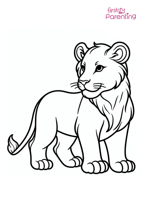 Female Lion Coloring Page Colouring Pages