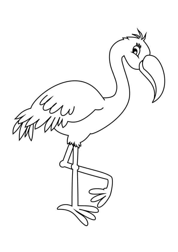 Flamingo Colouring Pages
