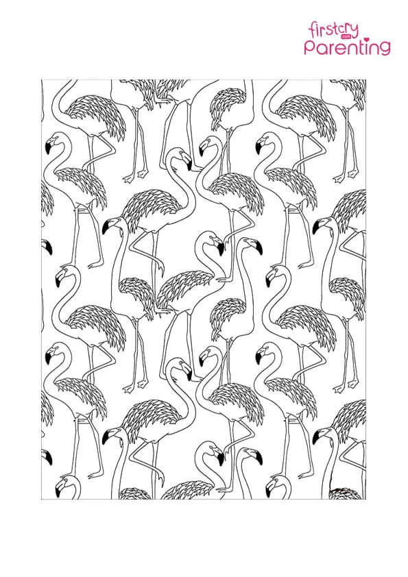 Flamingos Pattern Coloring Page Colouring Pages