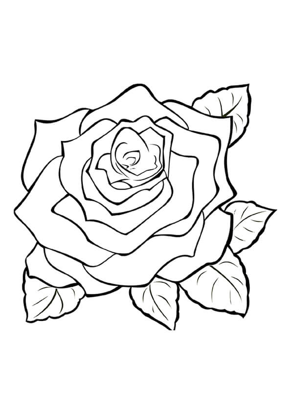 Flowers Colouring Pages