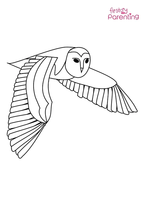 Flying Barn Owl Coloring Page Colouring Pages Flying Barn Owl Coloring Page Colouring Pages