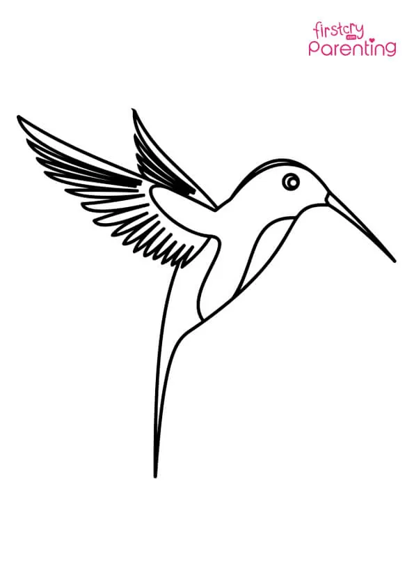 Flying Hummingbird Coloring Page Colouring Pages