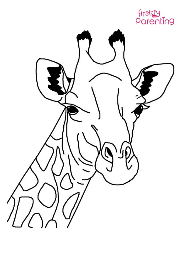 Giraffe Face Coloring Page Colouring Pages