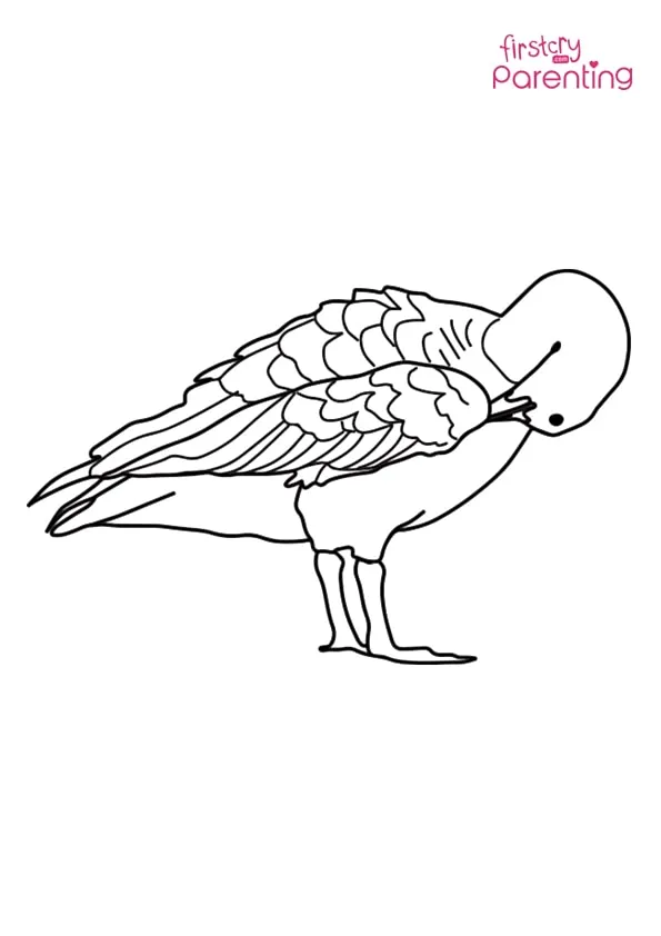 Goose Cleaning Its Feather With Its Beak Coloring Page