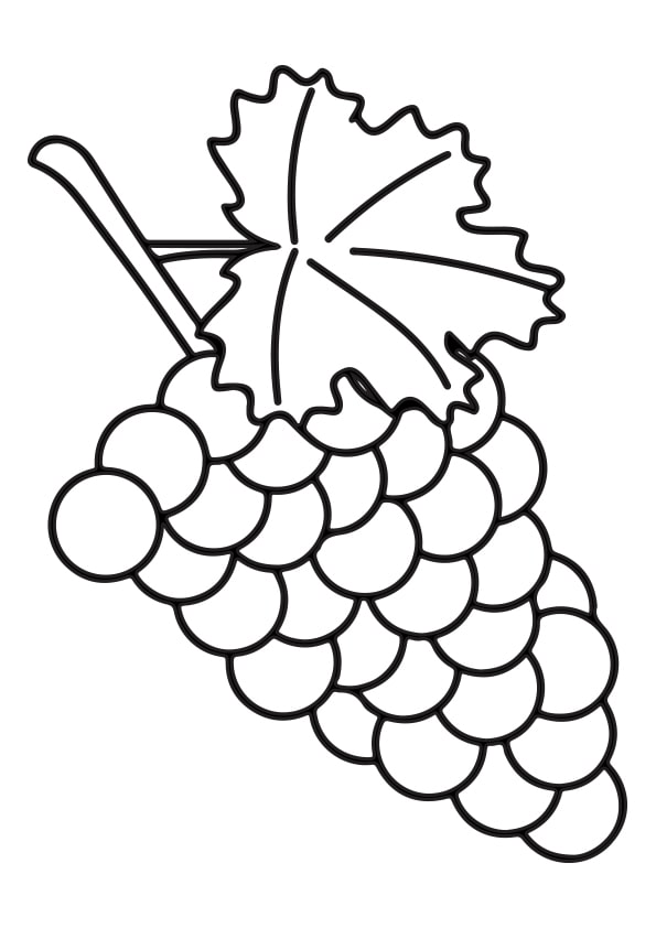 Grapes Colouring Pages