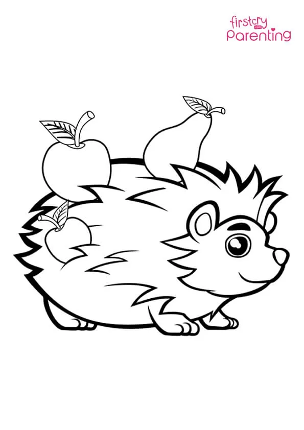 Hedgehog With Fruits Coloring Page Colouring Pages