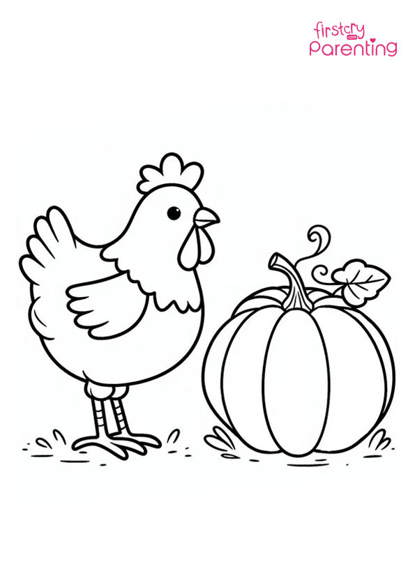 Hen And A Pumpkin Coloring Page