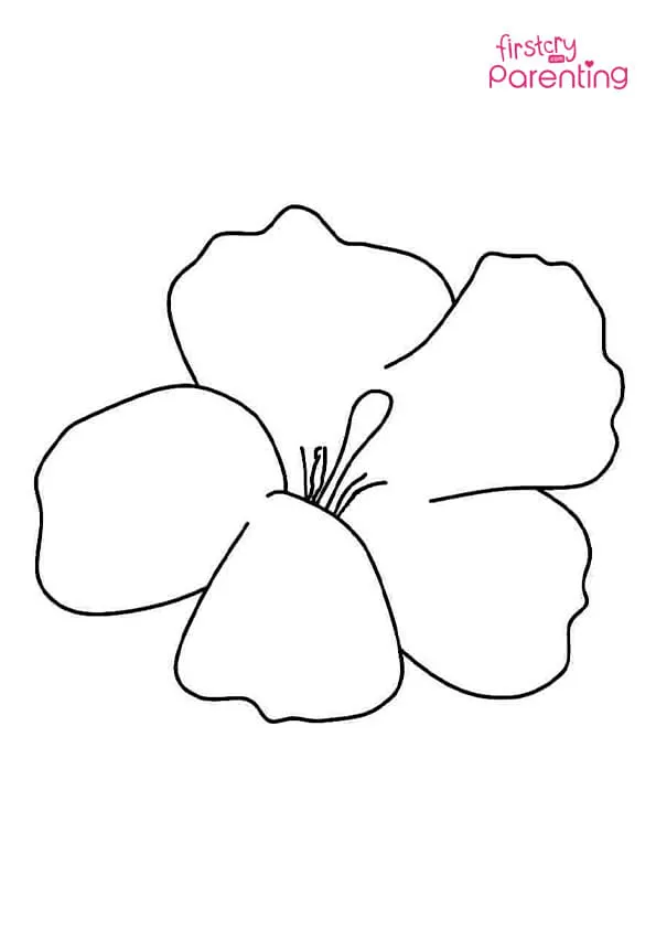 Hibiscus Outline Coloring Page