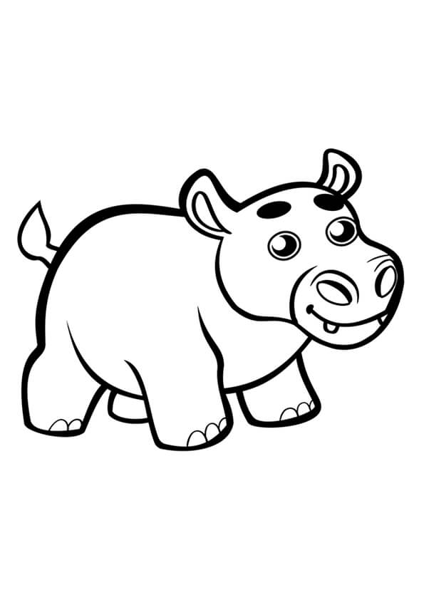 Hippo Colouring Pages