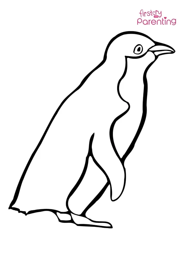 Little Blue Penguin Coloring Page Colouring Pages