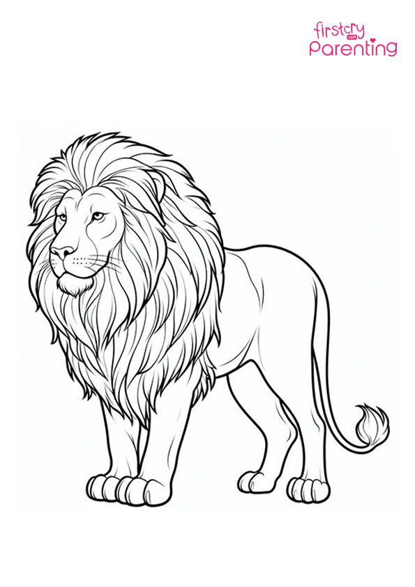 Majestic Male Lion Coloring Page