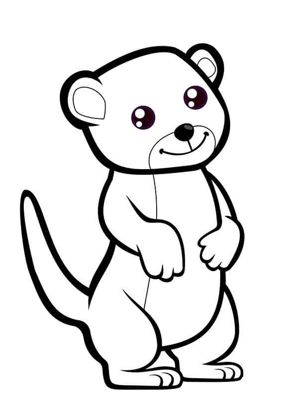 Meerkat Colouring Pages