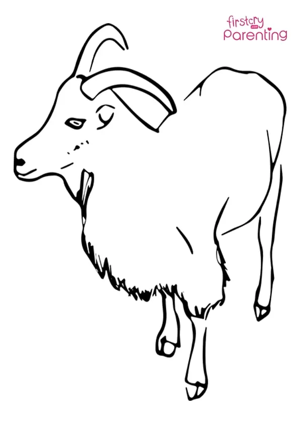 Mountain Goat Coloring Page Mountain Goat Coloring Page