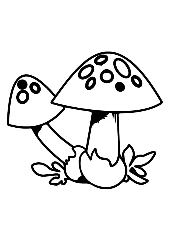 Mushroom Colouring Pages Mushroom Colouring Pages