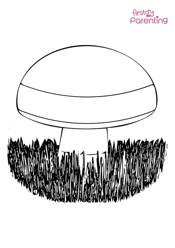 Mushroom Nature Food Coloring Page Colouring Pages Mushroom Nature Food Coloring Page Colouring Pages