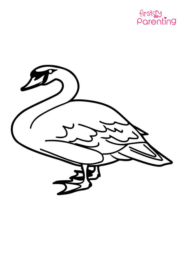 Floating Swan Coloring Page for Kids | FirstCry Parenting