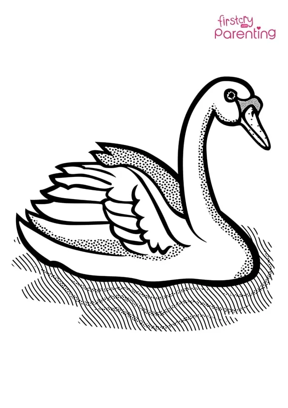 Mute Swan In Water Coloring Page