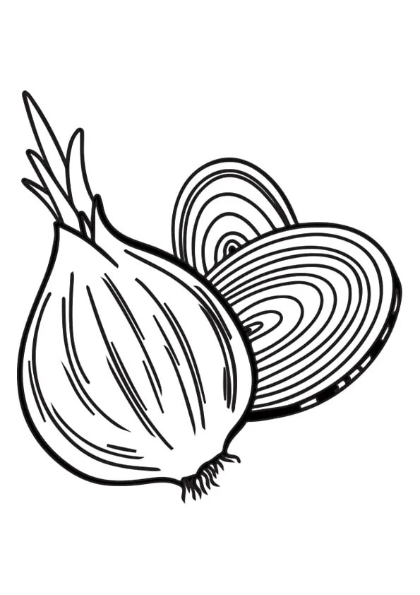 Onion Colouring Pages Onion Colouring Pages