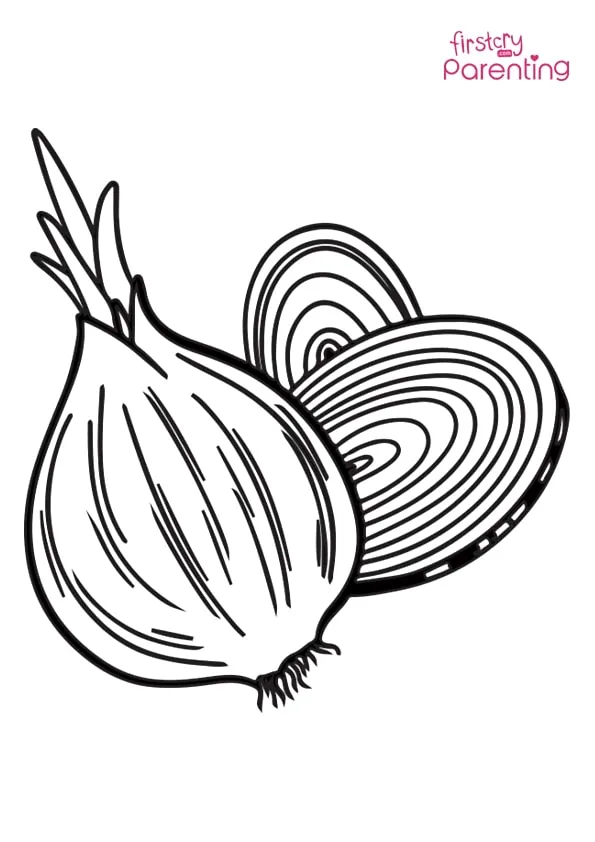 Onion Vegetable Coloring Page