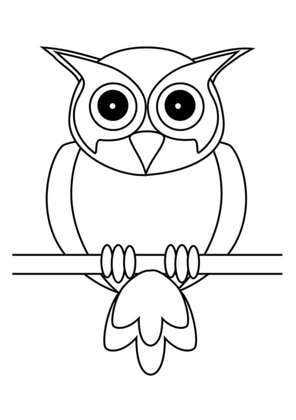 Owl Colouring Pages