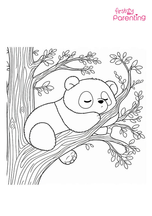 Panda Sleeping on the Tree Colorng Page