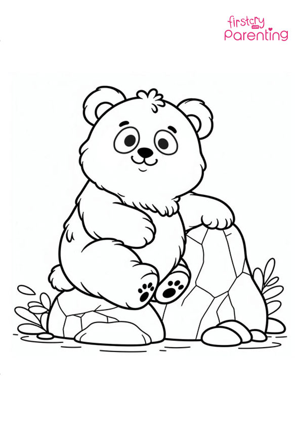 Panda on a Rock Coloring Page