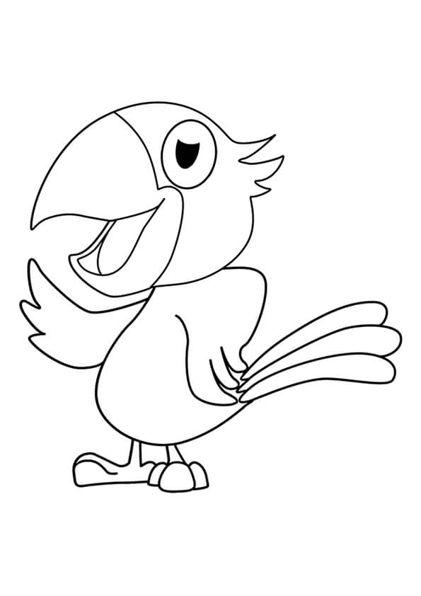 Parrot Colouring Pages