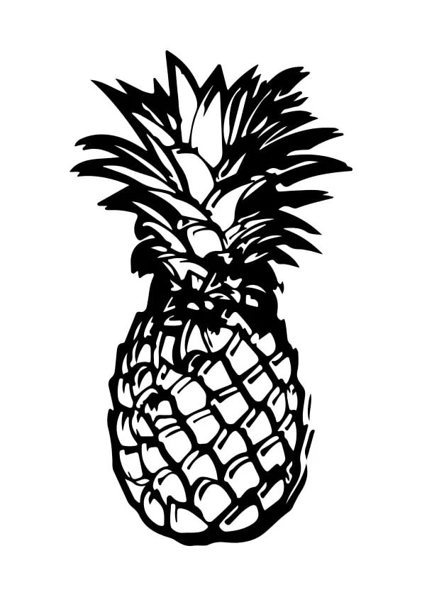 Pineapple Colouring Pages