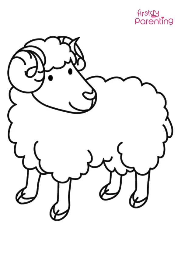 Ram Sheep Coloring Page Colouring Pages Ram Sheep Coloring Page Colouring Pages