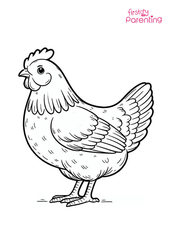 Realistic Chicken Coloring Page